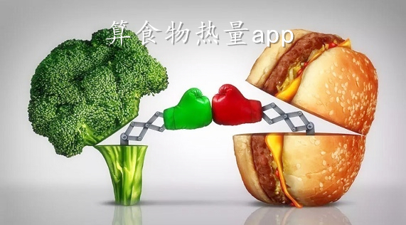 食物热量app相关软件下载合集