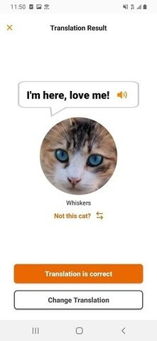 meowtalk喵说免注册版