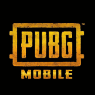 蜂蜜柚子PUBG国体直装