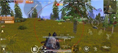 胖子直装和平精英科技防封版