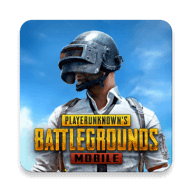 pubg绿体文件(内透)直装稳定版免卡密