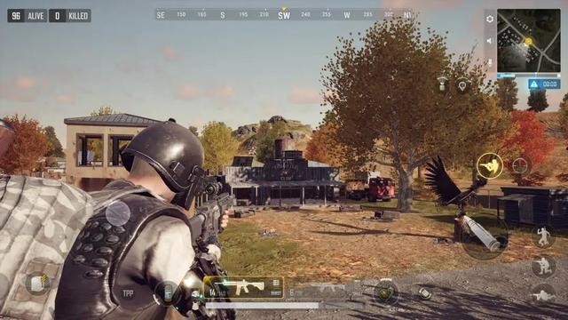 蜂蜜柚子国体pubg最新版本