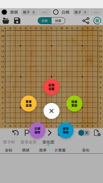 阿q围棋极速软件