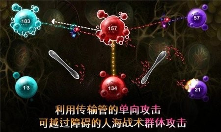 繁殖战争2最新版