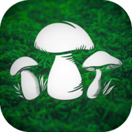 真实采蘑菇模拟器手机版