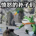 愤怒的孙子