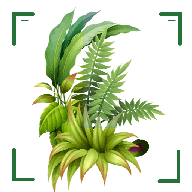 识万物扫一扫免费版