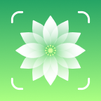 花草志