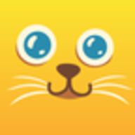 Peppycat猫说