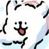 小白大战小鸡毛僵尸