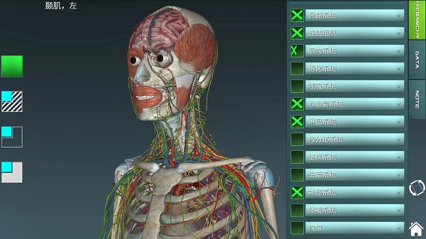 人体解剖学图集app最新版